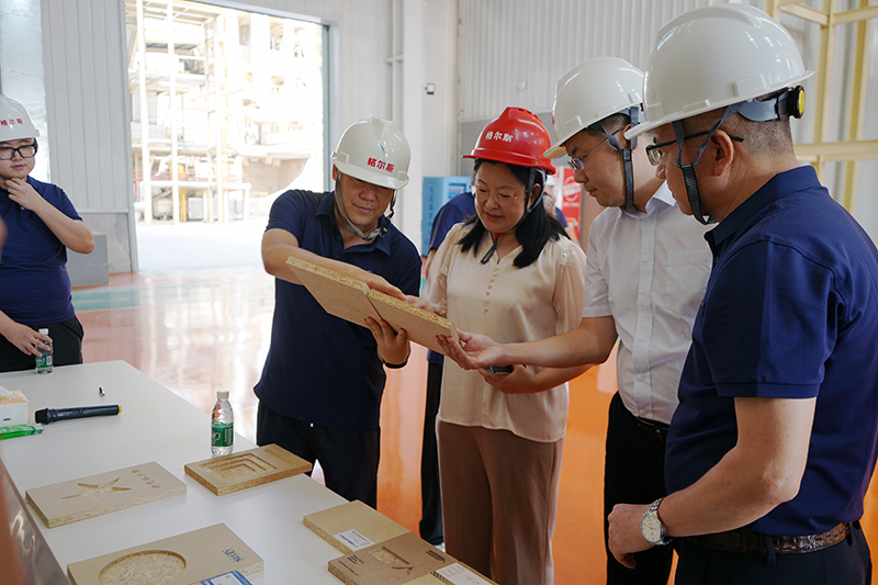 DSC02818.jpg DSC02818.jpg